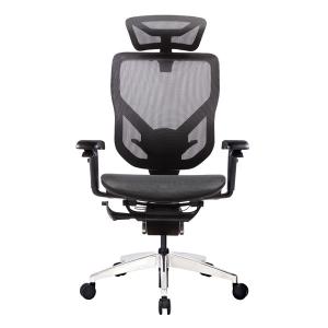 5D Paddle Shift Ergo Gaming Chair High Back Mesh Office Chair