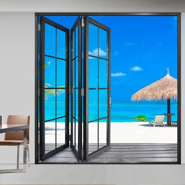 Quality Tempered TS8457 2mm Foldable Glass Doors For Home wholesale