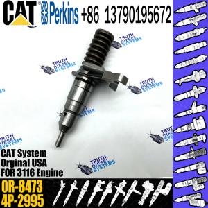 China CAT Diesel Fuel Injector 4P-2995 4P2995 6I3669 0R-8471 0R8471 0R8475 0R8473 0R-8475 0R-8473 For 3114/3116 Engine on sale