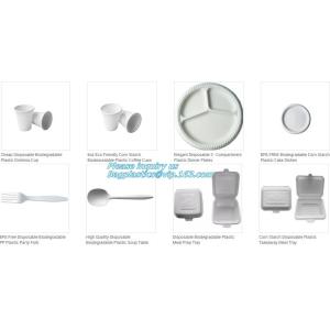 Disposable corn starch plates, biodegradable corn starch food container,