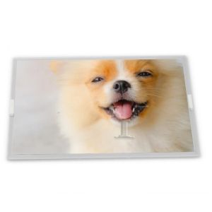 Second-hand WLED LCD Display Module LQ150X1DWF1 with 1024*768