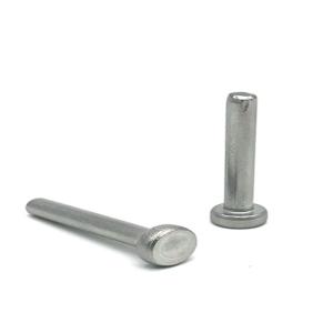 Round Mushroom CSK Flat Head Solid Rivets Class Grade 12.9 Mechanical Rivet