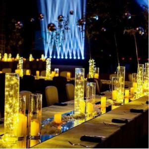 Commercial Exterior Decorative LED String Lights Warm White Timer Remote Control