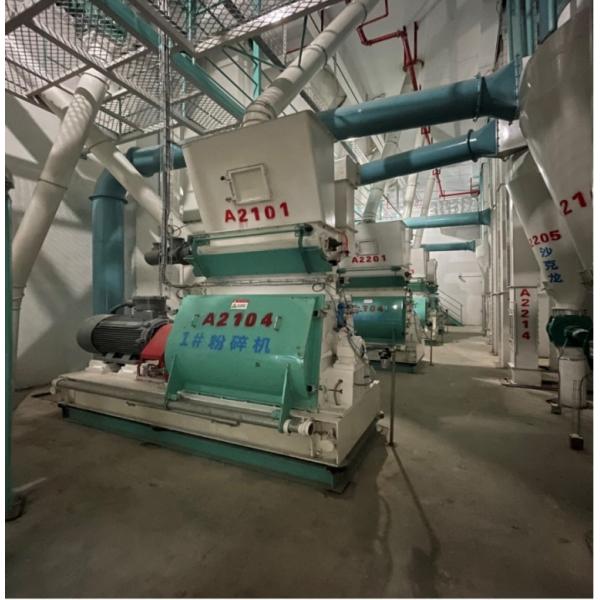 Quality 10T/H 15T/H High Capacity Poultry Feed Production Line / Poultry Feed Plant /Poultry Processing Equipment Turnkey Solution wholesale