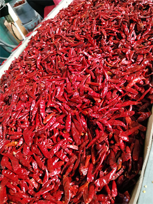 3CM Dried Birds Eye Chilli Pungent Red Chili Pods Dehydrated Without Stem