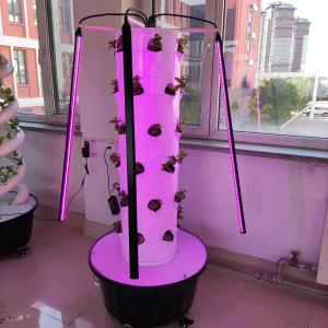 China Hydroponic System Aerpetta Strawberry And Leaf Vegetable Rotation With Lights on sale