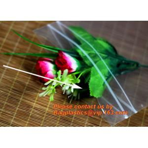 Custom Double Seal Plastic Bag /Double Track Plastic Zipper Bags, LDPE clear