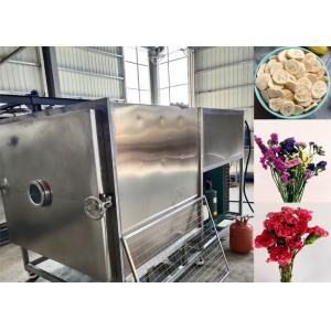 Cheap Custom Vegetable Freeze Dryer With Automatic Operation Mode for sale