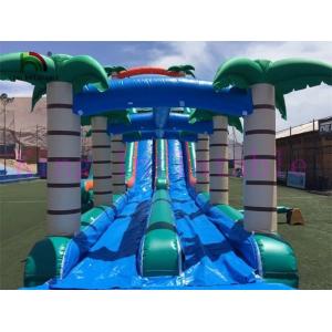 Cheap Selva Double Lanes PVC Inflatable Water Slide Green / Blue Slide With Swimming Pool for sale