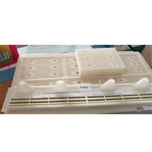 Apiculture Tools Beehive Accessories Queen Bees Storage Box And Beehive Pollen