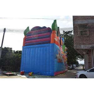 Simple Classic Commercial Inflatable Water Slides / Colourful Inflatable Dry