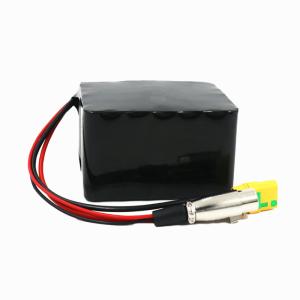 Customized Lithium Battery Pack 36V 10.5A With IPX5 Enclosure