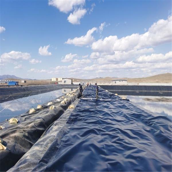 Store Sales Promotion HDPE Geomembrane Liner for Plastic Protection Requirements
