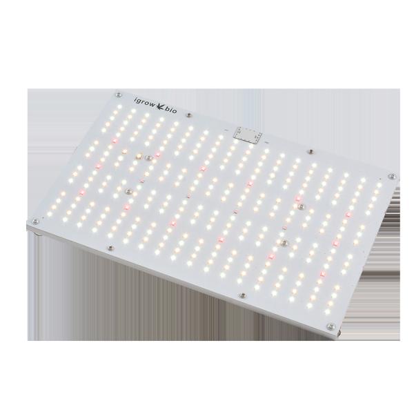 Full Spectrum 2.7umol/J UV LED Grow Lights 120W Waterproof LM301B LED Quantum