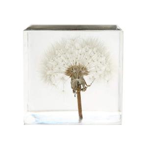 Cubic Flower Paperweight With Dandelion Inside Embed Processing
