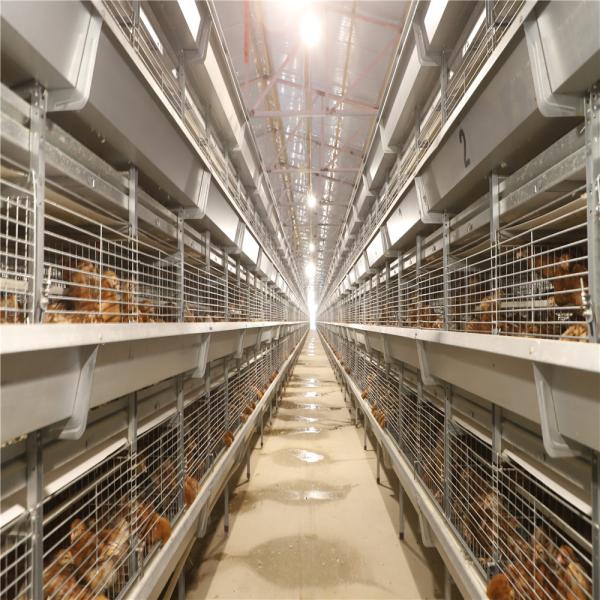 Battery Day Old Chicks Cage Breeding Chicken Cage For Layer Chick