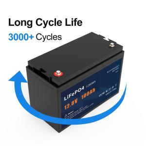 LFP 12v 100ah Lifepo4 Lithium Battery 20a Rechargeable Personalized Customizatio
