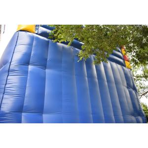 Customized Giant Inflatable Palm Tree Slides Inflatable Bouncy Castle With