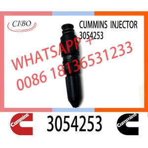 3054218 3054253 Engine fuel injector nozzle assy 3054218 3054253 injector