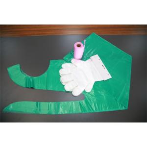 Embossed Disposable Gloves Polyethylene For Medical Checking / Food Handling