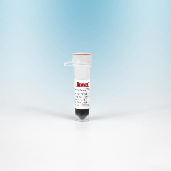 10 ML BeaverBeads Magnetic Beads NHS 300 Nm For Cell Isolation With Higher