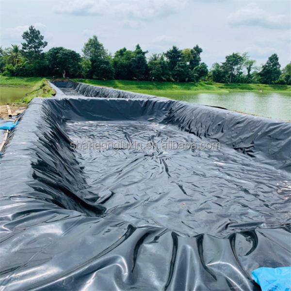Industrial Design Style HDPE Geomembrane Liner 0.5mm 1.0mm 1.2mm 2mm for Fish
