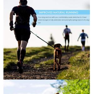 Adjustable Hands-Free Pet Dog Running Leashes Custom Logo Long Waist Double