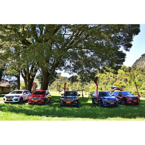 110km 4 Wheel Drive Electric Cars GWM Haval H6 DHT PHEV Plug In Hybrid Vehicles