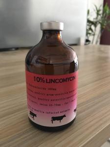 China 10%Lincomycin HCL Injectio ，lincomycin use in veterinary,veterinary medicine,animal dedicine,animal injection,grow on sale
