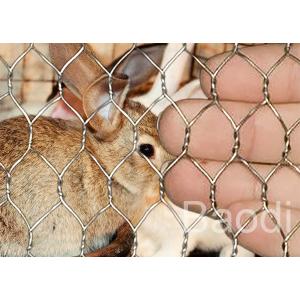 Hot Dipped Galvanized Chicken Wire Mesh For Poultry Livestock Fencing 0.45 - 1