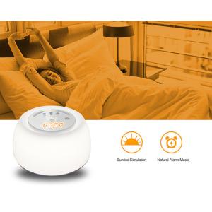 Sleep Aid LED Night Lamp With Sunrise Simulation Touch Light Alarm Clock