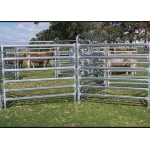 Dust Proof Galvanized Livestock Panels , Portable Cattle Panels Easy Maintenance