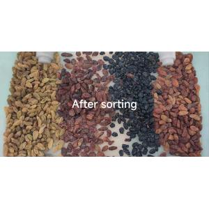 High Frequency CCD Grain Cleaner Color Sorter Economical Sesame Color Sorter