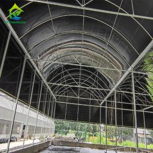 Multi Sapn Balckout Light Deprivation Greenhouse For Mushroom Growing