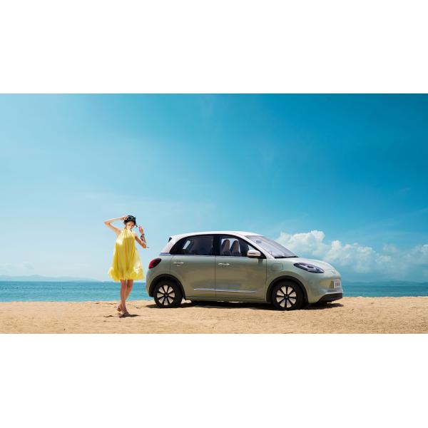 5-door 4-seat Body Structure Wuling Bin Go Mini Vehicles Auto Cars with Lithium Battery