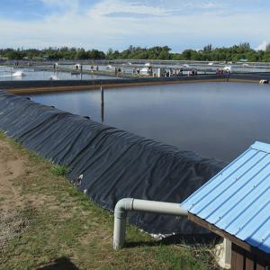 Anti Seepage Geomembrane Pond Liner 0.5-2mm