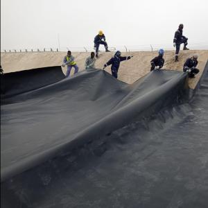 1mm 0.5mm 1.5mm 2mm Hdpe Geomembrane for Plastic Fish Shrimp Pond Liner Design