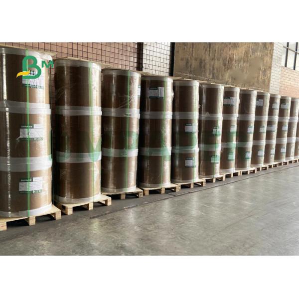 Quality 300gsm + 15g PE Coated Cupstock Board For Hot Coffee 840 x 710mm Eco Friendly wholesale