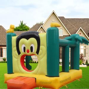 Outdoor Play Inflatable Slide Castle Bounce House with Repair Kit and Customized