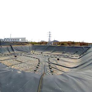 Chinese Geomembrane Impermeable Fish Pond Shrimp Pond Cistern Waterproof