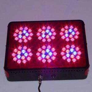 Cheap New products energy saving full spectrum led grow light 270 w apollo 6 for the grow lamp for sale