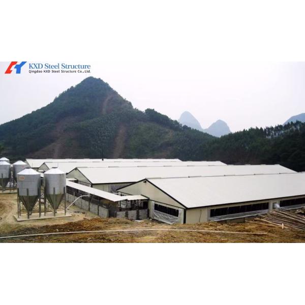 Prefabricated Lightweight Steel Structure Chicken House Shed with ISO9001 CE