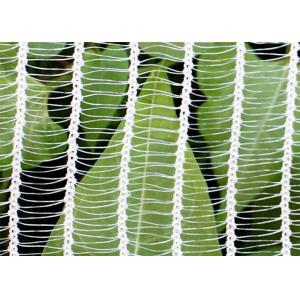 Plastic Transparent Anti Hail Garden Plant Netting For Agriculture Using