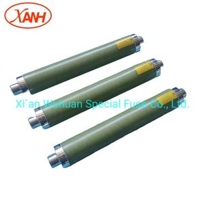 Factory Direct Sale High Voltage Current Limiting Backup Bay-O-Net Fuse Elsp