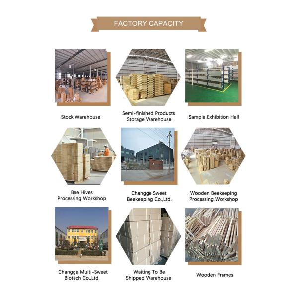 Stainless Steel Hive Tool 24cm J Hook Beekeeping Tools