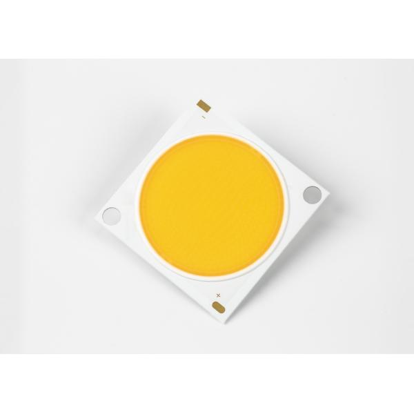 30W 36V Residencial Chip LED Cob Commerical Light High Power Indoor Bridgelux