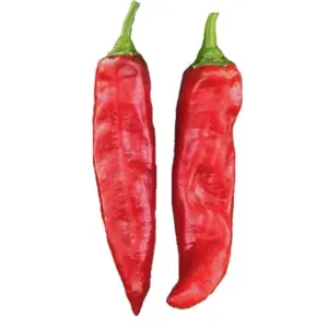 Cheap All Natural Dried Paprika Peppers with Mild Heat Level for sale
