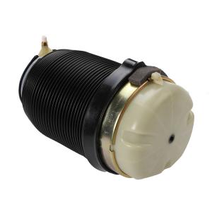 China Brand New Auto Parts Air Spring For Audi A6 Rear Left And Right OE 4F616001J on sale