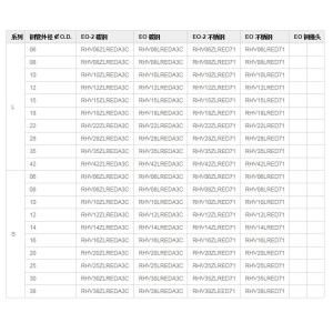 RHV-R-ED Check Valves