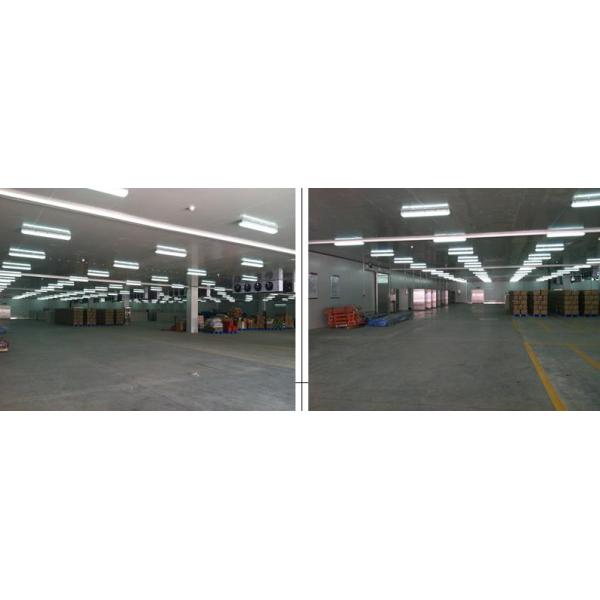 Pre Engineered Steel Structure Building Cold Steel Storage Warehouse Cold Room